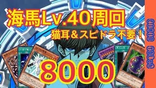 【猫耳＆スピドラ不要！！】海馬レベル40周回デッキ スコア8000 【2/23アップデート対応】【ハイスコア】【遊戯王デュエルリンクス】