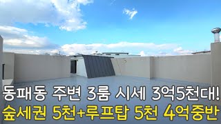 no.1764 숲세권 5천+루프탑 5천 추가되는 1억! 동패동 단지 중 최고가인 파주신축빌라