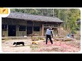 From start to finish: Transforming an old house into a natural bamboo house with skilled hands