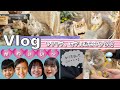 ★Vlog★セリラテ、モデルネコになる！？ロイヤルスタジオ撮影