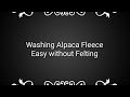 Alpaca Fleece washing the easy simple no felting way