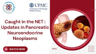 Caught in the NET : Updates in Pancreatic Neuroendocrine Neoplasms