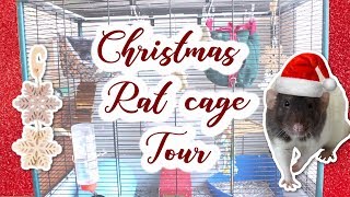 🎁🐭 RAT CHRISTMAS CAGE TOUR 🐭🎁