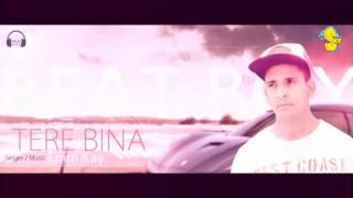 Tere Bina || Emm Kay || Latest Punjabi Song || SKY TT CDs Records Label