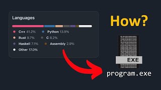 How Works Multiple Programming Languages in a Projects?