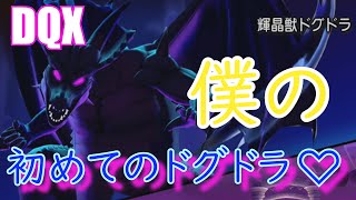 ドラクエ10～輝晶獣ドグドラ～まもりのきりでまもりきれ！初めてのドグドラ💛レンジャー目線【オールブルー実況ch】