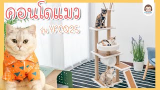 รีวิว ประกอบคอนโดแมว รุ่น YFC025 | kingkong petshop |