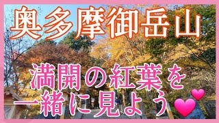 【トレッキング/御岳山～ロックガーデン(奥多摩)】2021年11月満開の紅葉🍁狩りに行ってみた。名所の滝や色鮮やかな絶景を登山女子の皆さまへご案内いたします💕