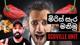 ලෝකයේ සැර වැඩිම මිරිස් වර්ගයේ සැර මනිමු Let's measure the spiciest type of chili in the world🌶️