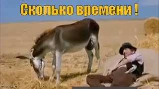 СКОЛЬКО ВРЕМЕНИ? #АНЕКДОТ