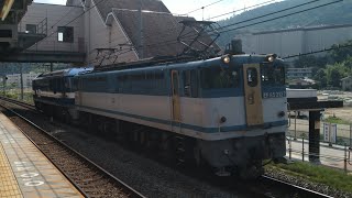 【カラシ牽引！】EF65-2127+EF210-343 川崎車両出場甲種輸送 島本通過