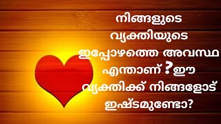 നിങ്ങളുടെ വ്യക്തിയുടെ ഇപ്പോഴത്തെ അവസ്ഥ എന്താണ് ഈ വ്യക്തിക്ക് നിങ്ങളോട് ഇഷ്ടമുണ്ടോ?|555 ANGEL TAROT