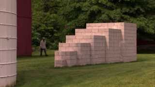 Robert Mangold: Sol LeWitt & MoMA | Art21 "Extended Play"