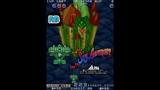 1989 [60fps] Sky Adventure 8815pts ALL