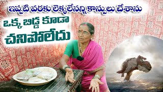 నేను చేసిన కాన్పులు లెక్కపెట్టలేదు||ఇప్పటికి ఒక్క బిడ్డ కూడా నా చేతుల్లో చనిపోలేదు||Midwife Tuljamma