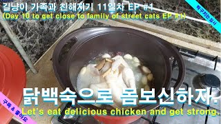 길냥이 가족과 친해지기 11일차 EP #1, 닭백숙으로 몸보신하자(.Let's eat delicious chicken and get strong.) 탁구치는 집사