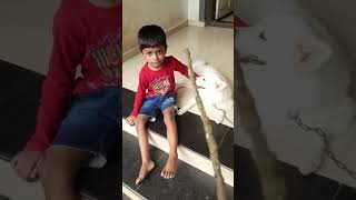 Tom \u0026 jerry (puppy \u0026kunji) Part 1 🔥 ending Ending Twist 😊SUBSCRIBE ചെയ്യണേ 😔🙏#shorts