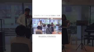 2つのヴァイオリンのための協奏曲/バッハ【WASEDA STRINGS】#shorts #バイオリン #2つのヴァイオリンのための協奏曲 #早稲田大学 #弾いてみた