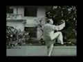 經典重現之【楊式 太极拳】片段 1代太极大師董英傑演示珍貴视频老资料