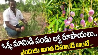 ఒక్క  మామిడి పండు అక్షరాలా లక్ష రూపాయలు..ఎందుకు అంత డిమాండ్ అంటే..? 1 mango cost 1 lakh rupees