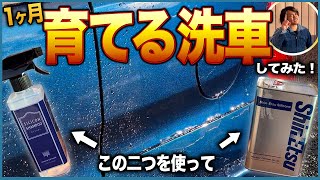 【シリコン洗車✖︎シリコンシャンプー】1ヶ月育てる洗車をしたらツヤと弾きがパワーアップした！