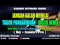 JANGAN SALAH MENILAI TAGOR PANGARIBUAN KARAOKE DISCO REMIX NADA PRIA | Shahia Youtube