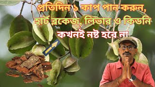 Arjun Bark Benefits in Bengali (অর্জুন গাছের ছাল এর উপকারিতা)|| Dr.Subrata Halder Ph.D(PSY).