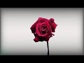 Dirty Dike - Crystal Cindy (VIDEO)