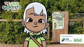 The Full Eco Explorers Trail at Dublin Zoo with Pookie | Eco Explorers Club