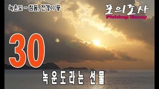 포의조사 Fishing Essay / 제30회 / 녹운도(포인트 이름 모름) / 녹운도라는 선물 / 참돔, 전갱이, 용치놀래기 등