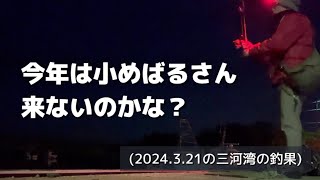 春の夜、今年も小めばるさんの群れが来てないか調べに行ってみた。(2024.3.21の三河湾の釣果)