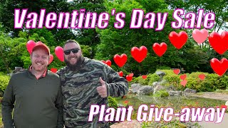 Super Valentines Plant Sale! Win a Free Japanese Maple! Love A Gardener Livestream