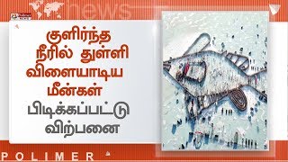 சீன நாட்டின் இருவேறு பகுதிகளில் களைகட்டிய மீன்பிடித் திருவிழா