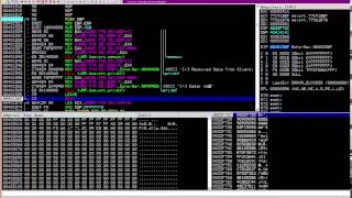 DC813: Malware Analysis: Buffer Overflows Sunny Wear - Part2
