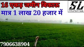 468- 16 एकड़ जमीन बिकाऊ है 👍 मात्र 1 लाख 20 हजार में।#bikaujameenhai#sundarlalproperty#trendingvideo