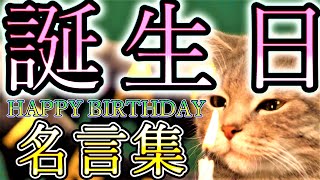 【誕生日】誕生日に聴きたい名言集８選【動物】