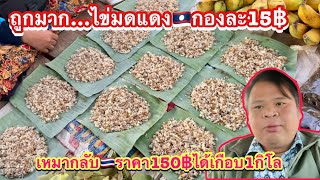 ไข่มดแดงที่สปป.ลาว🇱🇦ถูกมาก‼️เหมากลับไทย🇹🇭150บาทได้เกือบ1กิโลกรัม ตลาดนัดบ้านคำแปง แขวงจำปาสัก