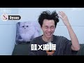 【開箱】dyson吹風機最強平替！便宜超多，但超有誠意！高級感滿滿的吹風機來了！ 謝秉鈞attila.laifen