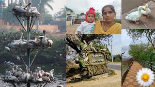 Uppalapadu Birds Park 🐦 # Happy