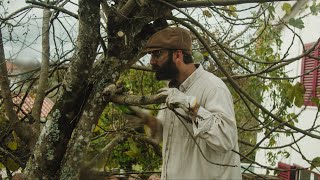 #4 portugal | drying mint, pruning fig tree, winter drink, preparing garden, compost bin