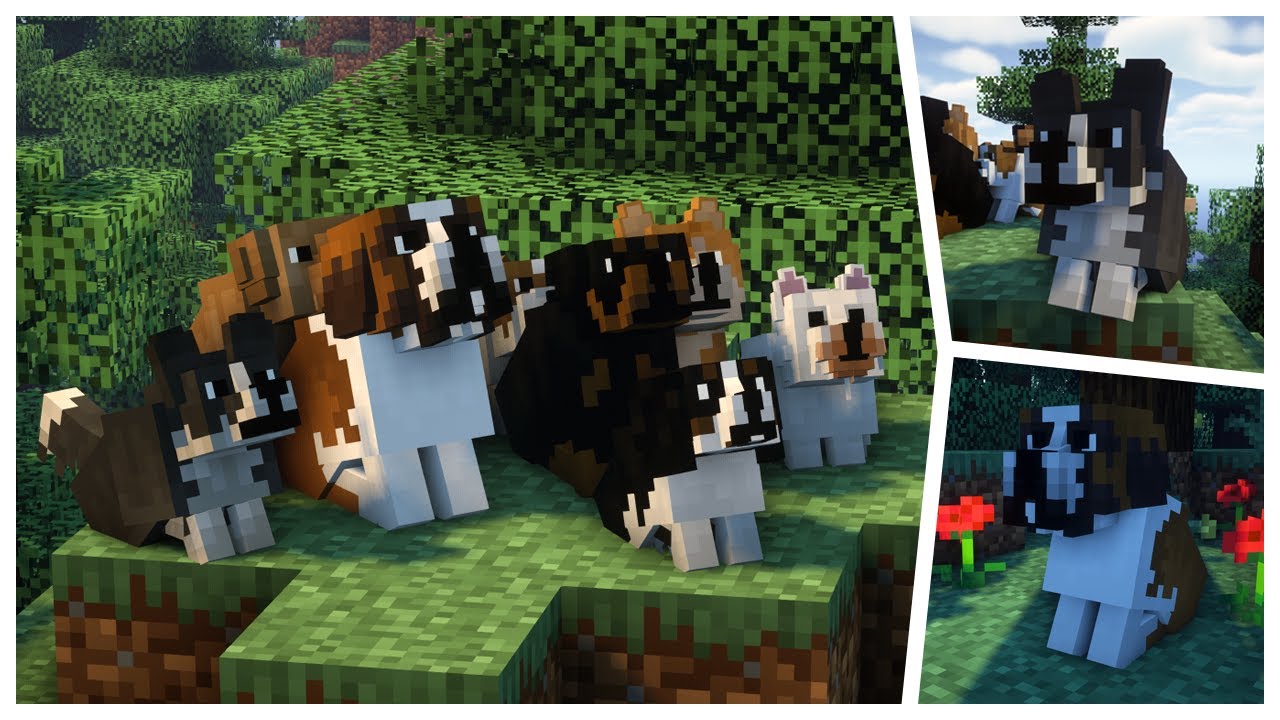 Minecraft Texture Pack Pets Infoupdate Org