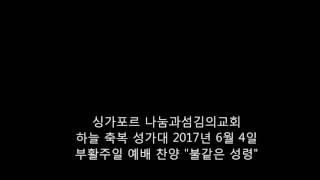 싱가포르 나눔과섬김의교회  하늘 축복 성가대 2017년 6월 4일  부활주일 예배 찬양 \