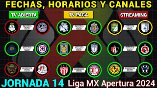 FECHAS, HORARIOS y CANALES CONFIRMADOS para los PARTIDOS de la JORNADA 14 Liga MX APERTURA 2024