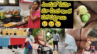 ఎందుకో ఏమో మామీద ఇంత పగపట్టాయి😢😢 Puttinti Haul 👍 Random Vlog//మా చెట్టి జామపళ్లు👌//Amulyaskitchen