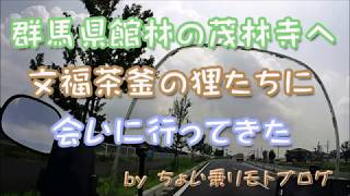 群馬県館林の茂林寺へ分福茶釜の狸に会いにいってきた　by ちょい乗りモトブログ