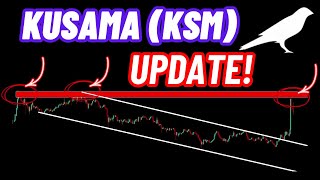 Kusama Crypto Coin (KSM) Update!