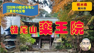 【薬王院】茨城県桜川市の椎尾山薬王院の三重塔が凄かった！