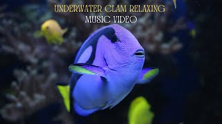 4K Underwater - 7 Minutes Relaxing Reset: Relaxing Music