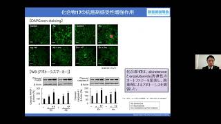 「がんアジュバント薬を指向したオートファジー阻害剤の開発」　岐阜薬科大学　薬学部　生命薬学大講座生化学研究室　准教授　遠藤 智史