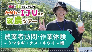 【移住就農】タマネギ、ナス、キウイの農作業体験｜ツアー3日目